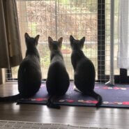 ⭐︎元気な仲良し3人組⭐︎