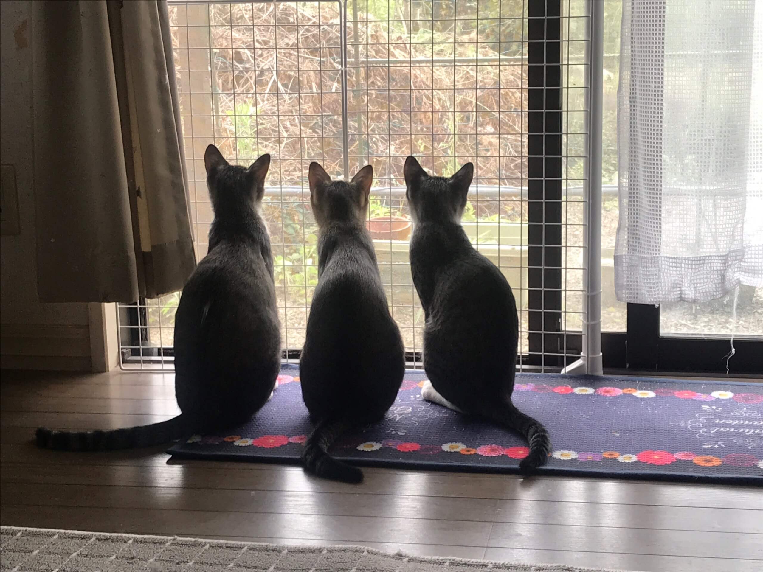 ⭐︎元気な仲良し3人組⭐︎