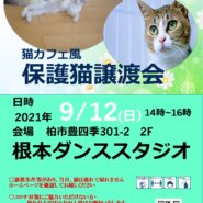 9/12(日）柏市　猫カフェ風保護猫譲渡会