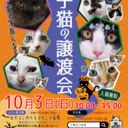 ★子猫24匹！／愛知県みよし市★