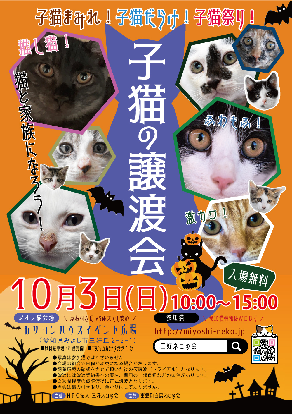 ★子猫24匹！／愛知県みよし市★