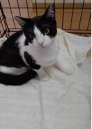 遊んで欲しい😻