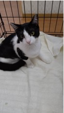 遊んで欲しい😻