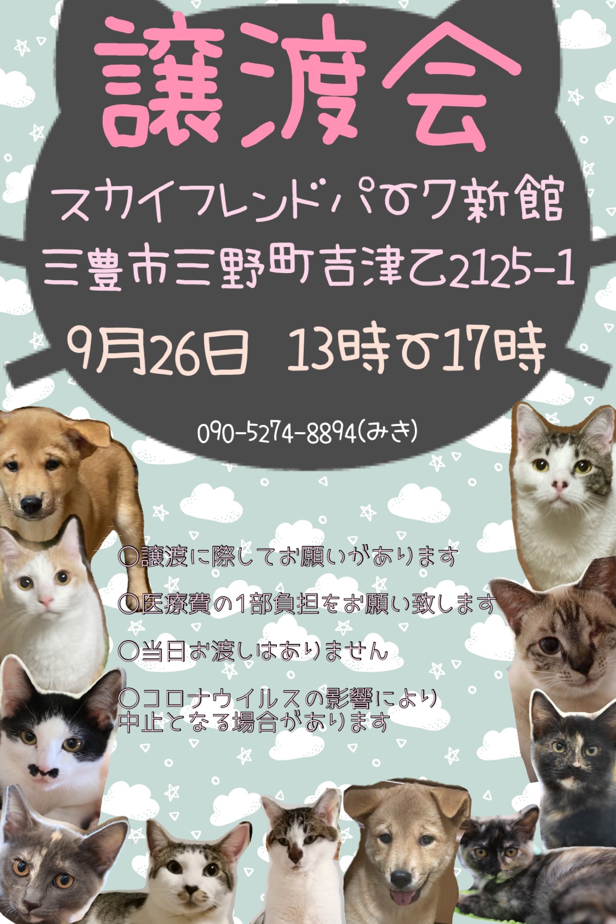 9.26は譲渡会です！