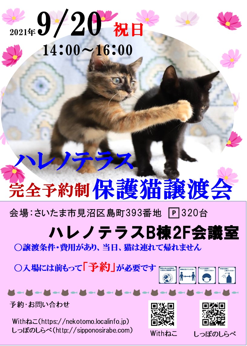9/20(祝）ハレノテラス保護猫譲渡会
