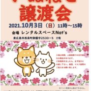 東広島市いぬねこ譲渡会