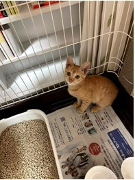 4ヶ月位の男の子