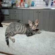 やんちゃ盛りの4ヶ月