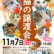 子猫22匹の譲渡会！愛知県みよし市