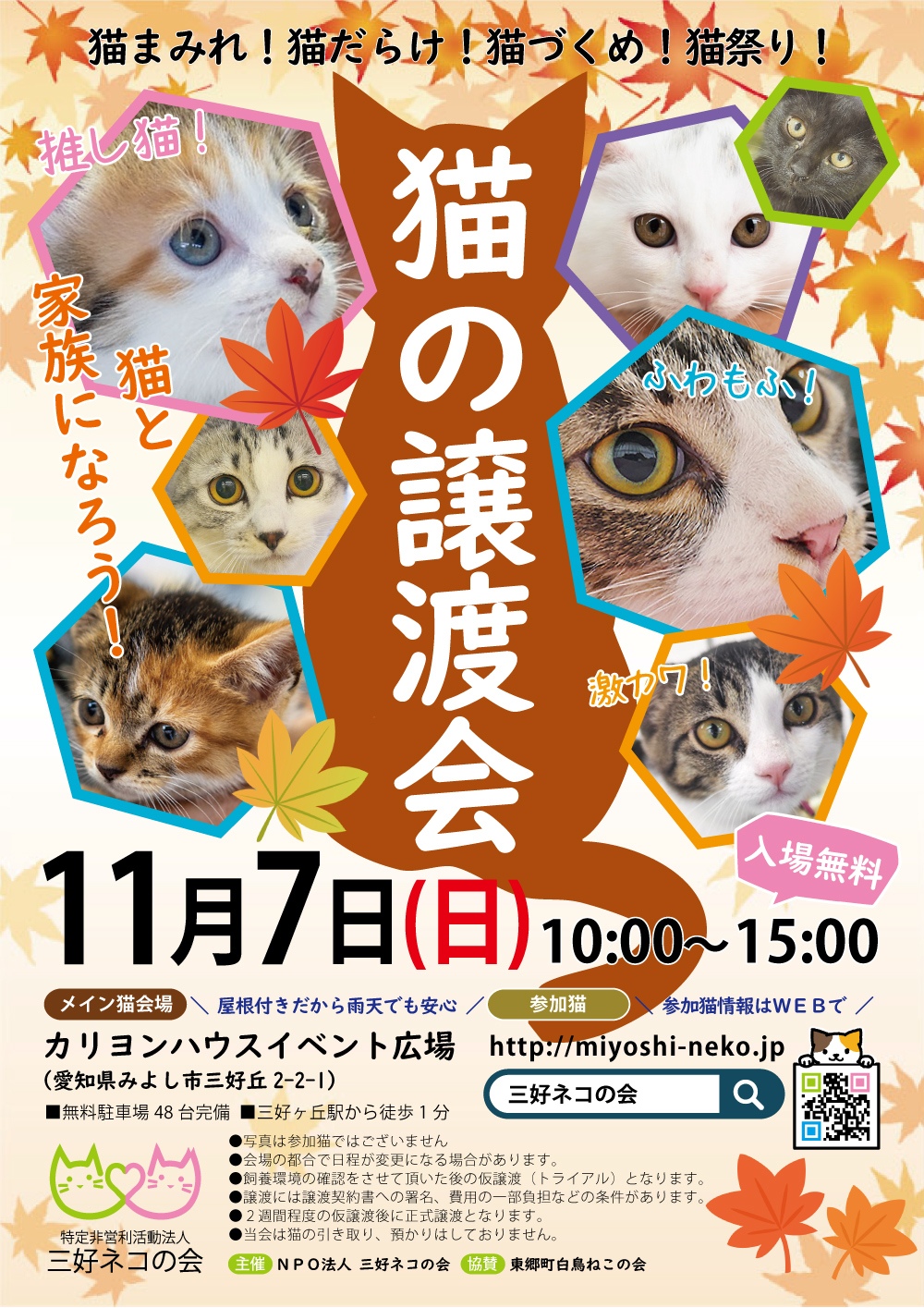 子猫22匹の譲渡会！愛知県みよし市