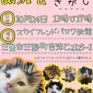 10.24犬猫の譲渡会