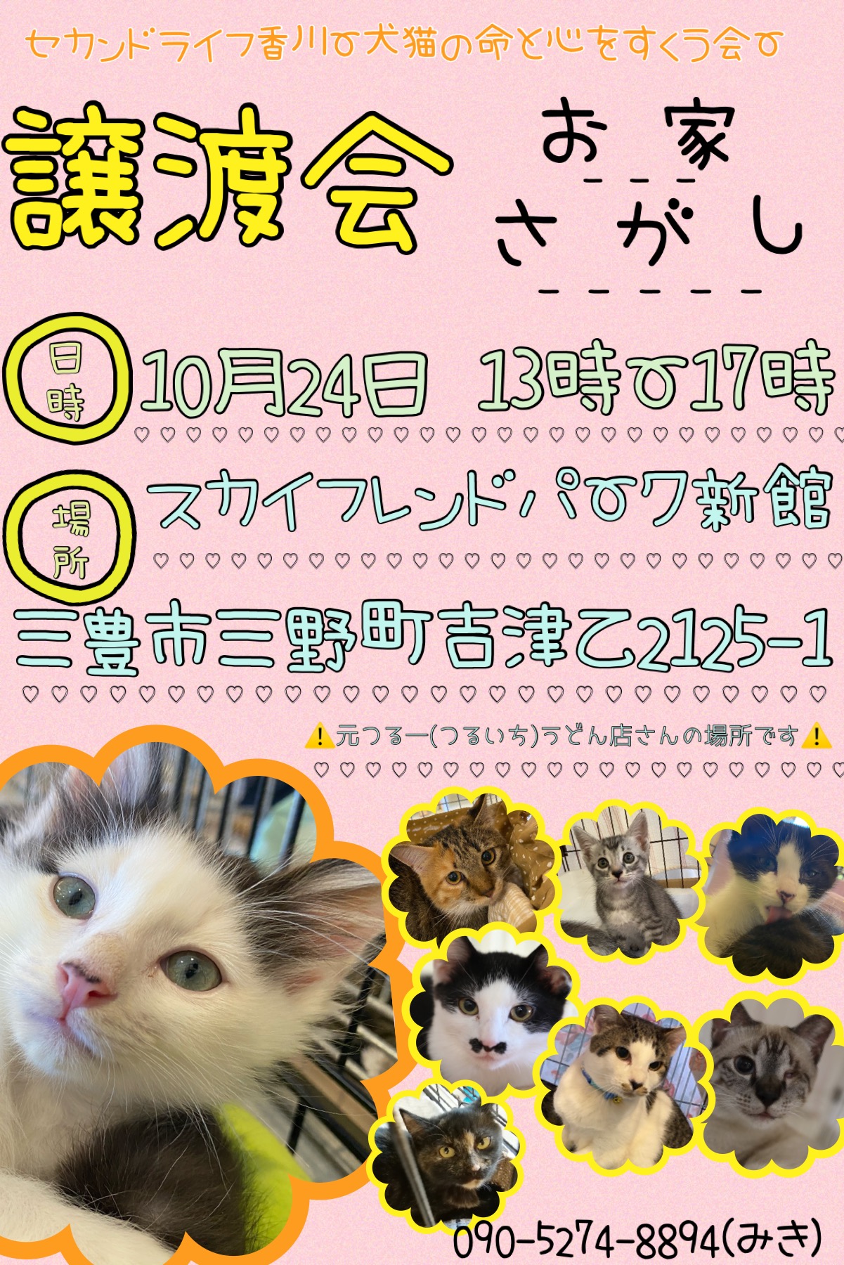 10.24犬猫の譲渡会