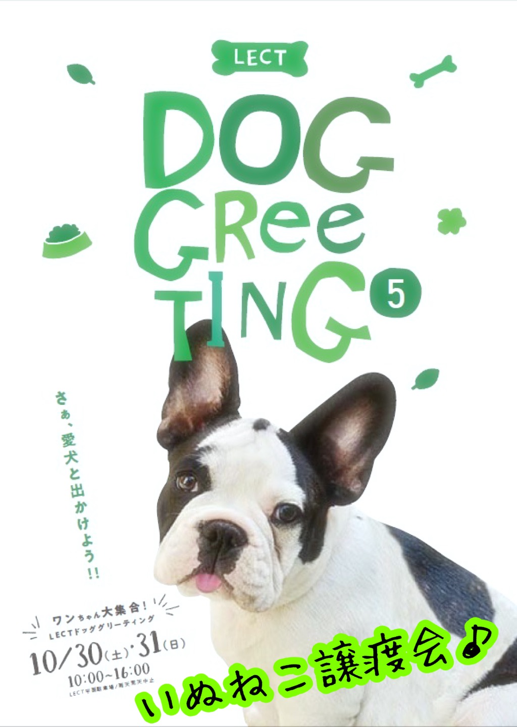 LECT 犬猫譲渡会