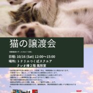 猫の譲渡会