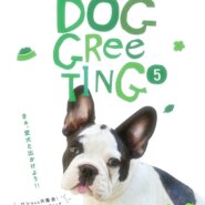 LECT 犬猫譲渡会