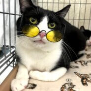 人懐っこい「ドラちゃん」