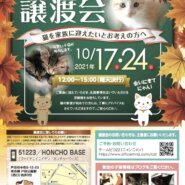 保護猫の譲渡会