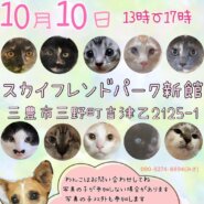 10.10犬猫譲渡会！