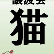 和風猫本舗　☆譲渡会開催のお知らせ☆