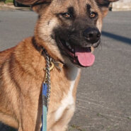 困り顔が可愛いびびり君です♪