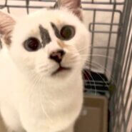 mamaも里親決定ஐ♡