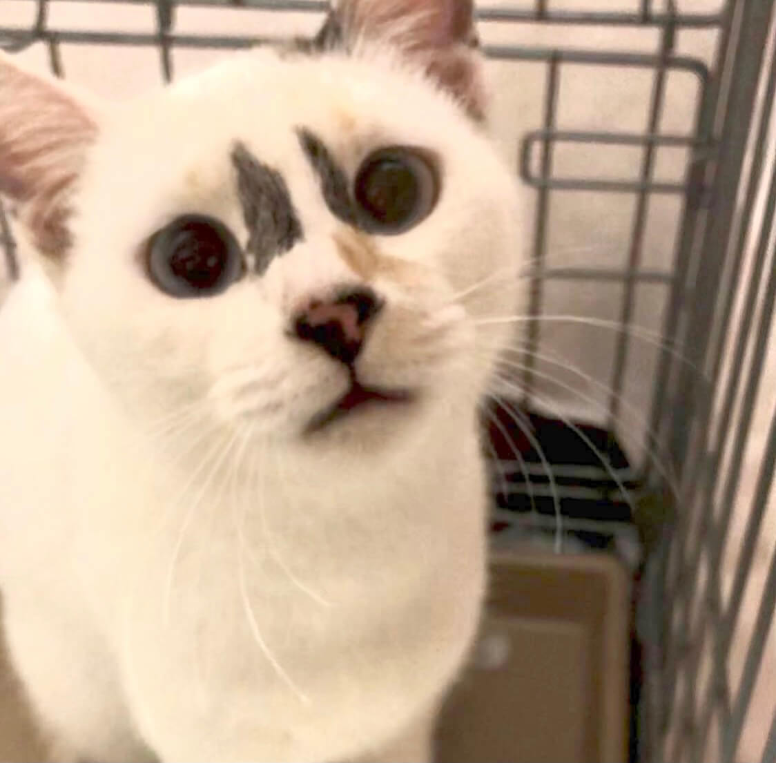 mamaも里親決定ஐ♡