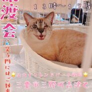 犬猫の譲渡会開催致します