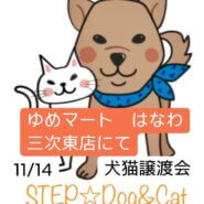 ゆめマート三次東店犬猫譲渡会