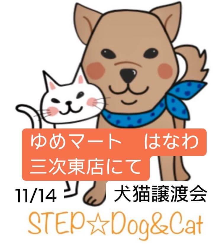 ゆめマート三次東店犬猫譲渡会