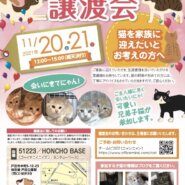 保護猫の譲渡会