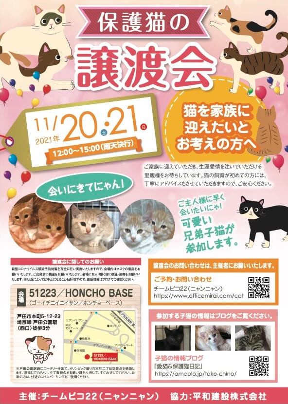 保護猫の譲渡会