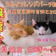 犬猫譲渡会開催致します
