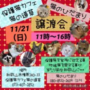 猫の道草＆猫のひだまり　保護猫の譲渡会（毎月第3日曜）