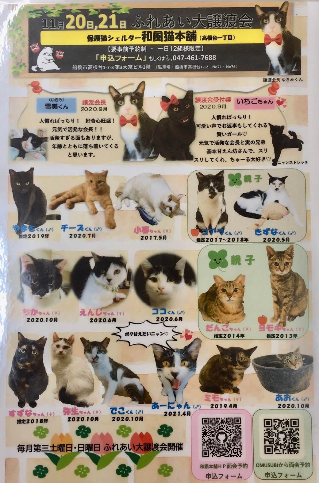 ☆和風猫本舗ふれあい譲渡会のお知らせ☆