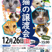 ★子猫中心に20匹／愛知県みよし市★