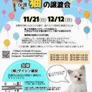 保護猫の譲渡会