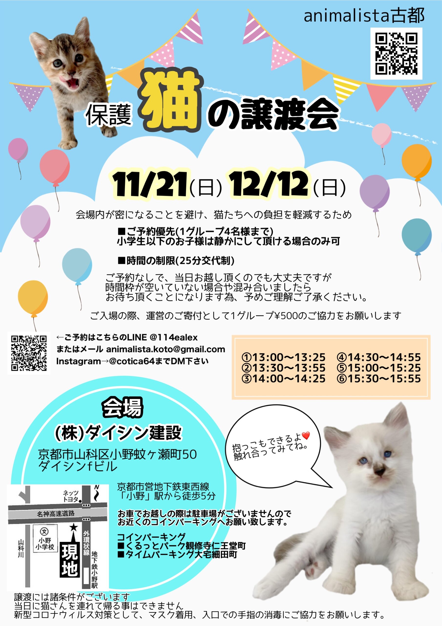 保護猫の譲渡会