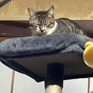 生後5ヶ月の男の仔