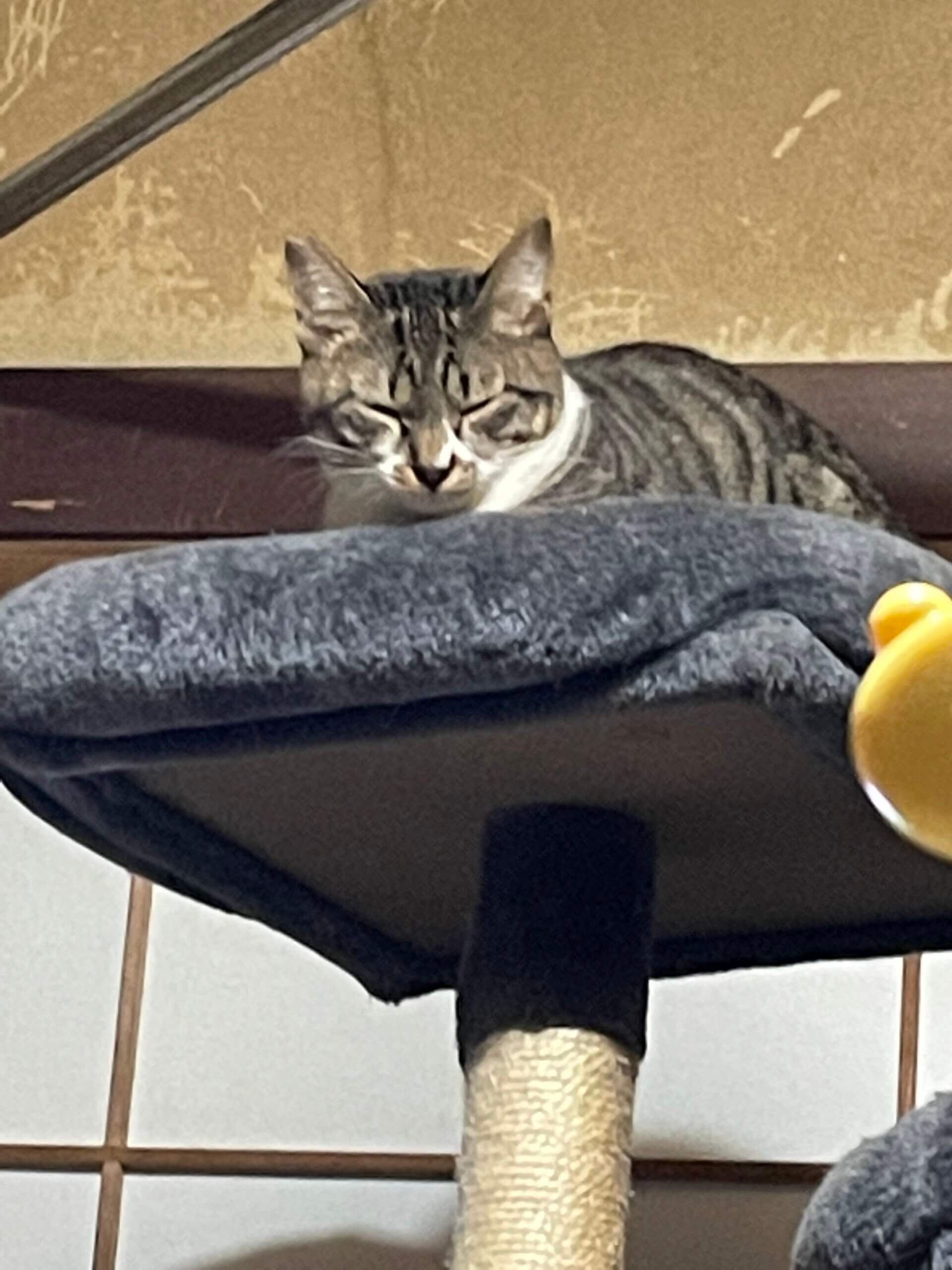 生後5ヶ月の男の仔