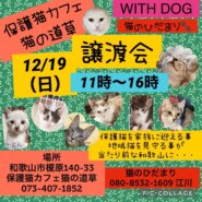 猫の道草＆猫のひだまり＆NPO法人WITHDOG保護猫の譲渡会