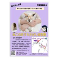 ※中止します※第2回ねこのおうちさがし＠忠岡