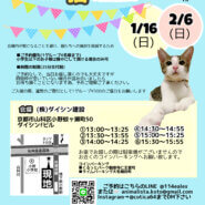 animalista古都　保護猫の譲渡会