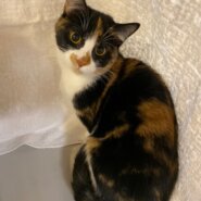 少し怖がりでも元気な女の子❤️