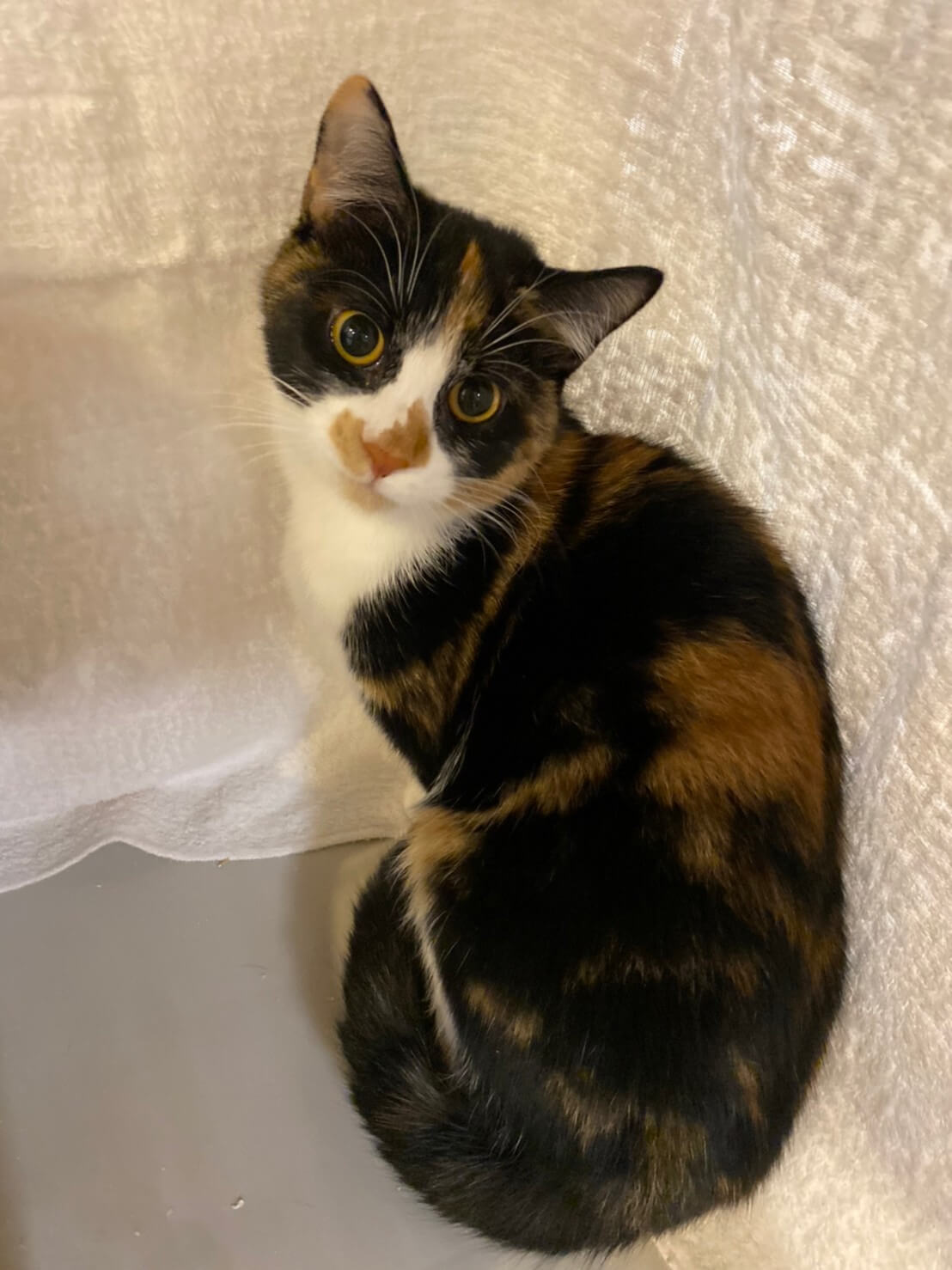 少し怖がりでも元気な女の子❤️