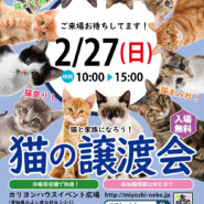 18匹のヒニャまつり／愛知県みよし市