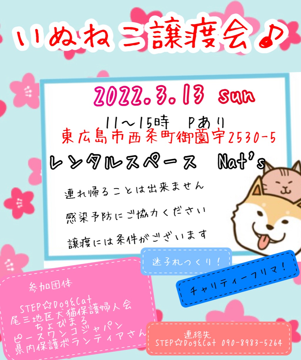 いぬねこ譲渡会