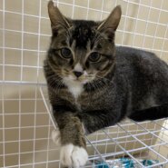 ❁⃘ ずず里親決定 ❁⃘