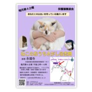第3回ねこのおうちさがし＠忠岡