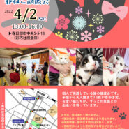 春ねこ譲渡会