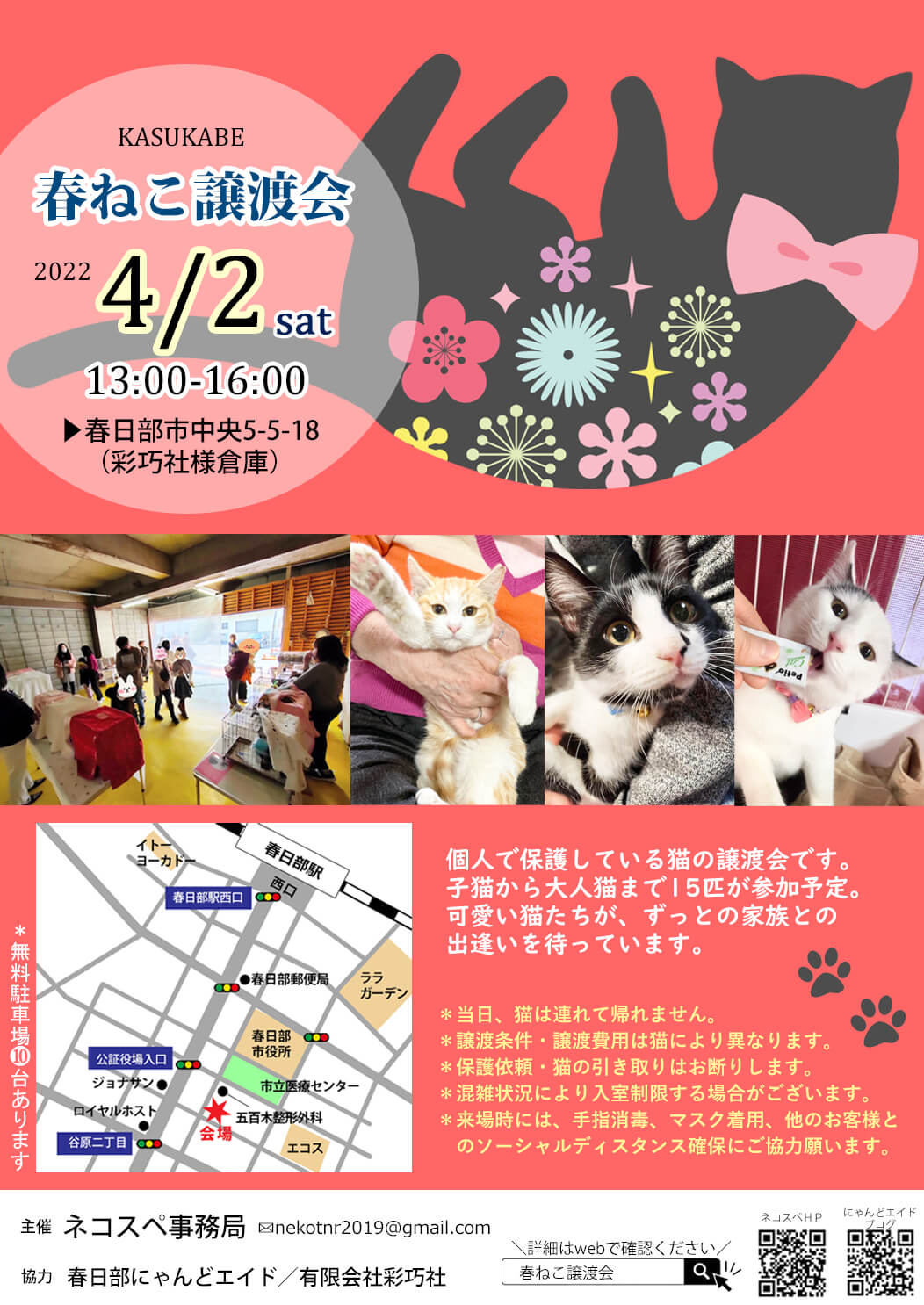 春ねこ譲渡会